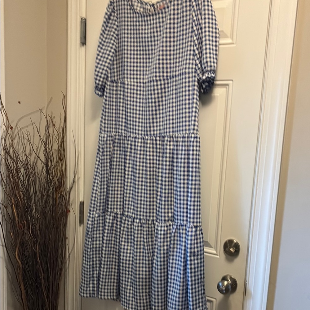 Blue Gingham Dress